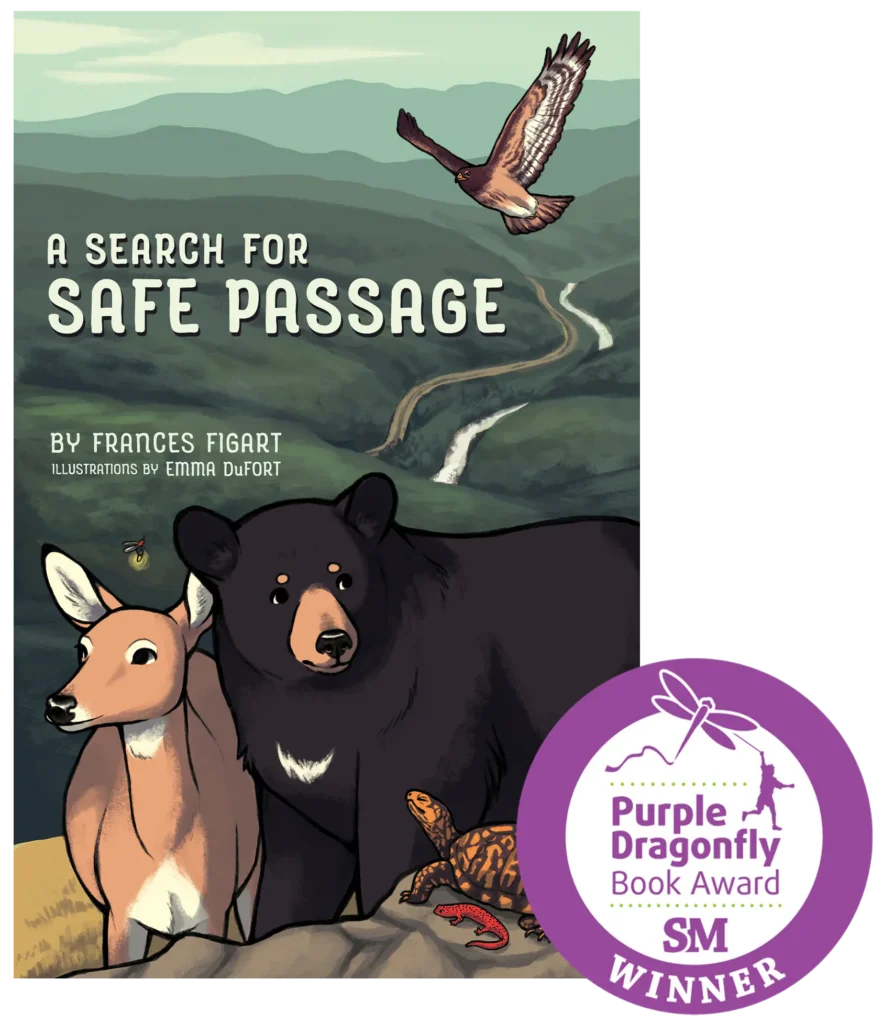 A Search for Safe Passage by Frances Figart
